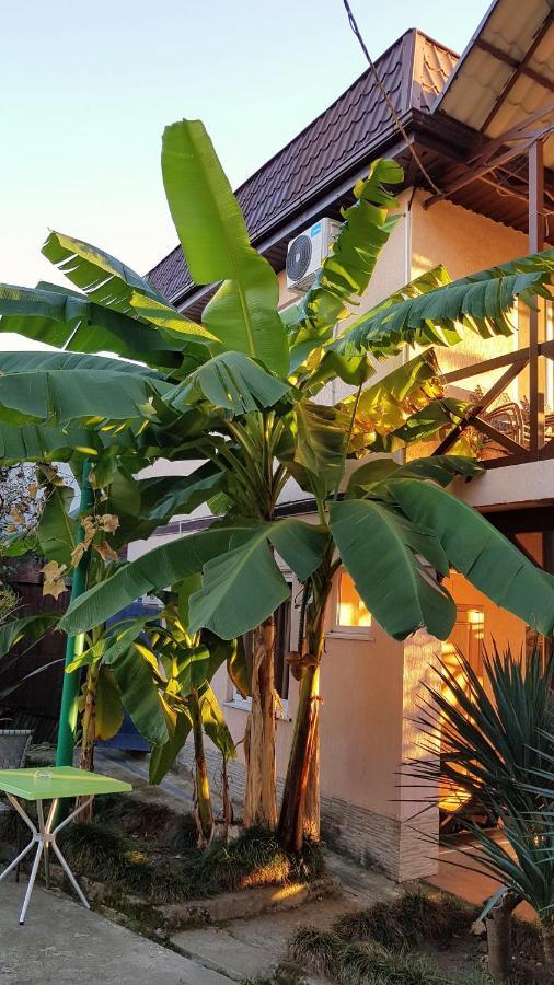 Samida Hotel New Athos Ngoại thất bức ảnh