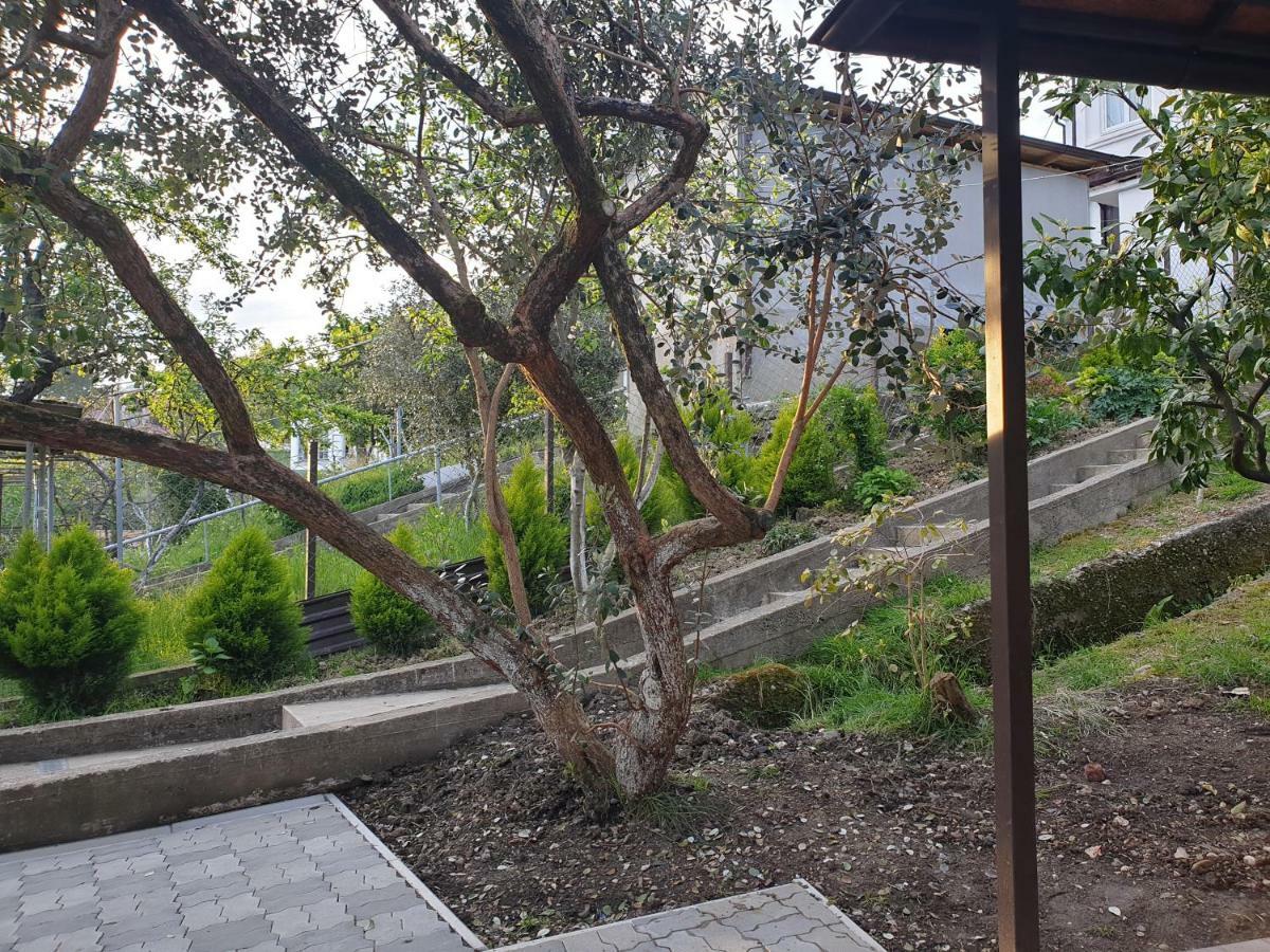Samida Hotel New Athos Ngoại thất bức ảnh